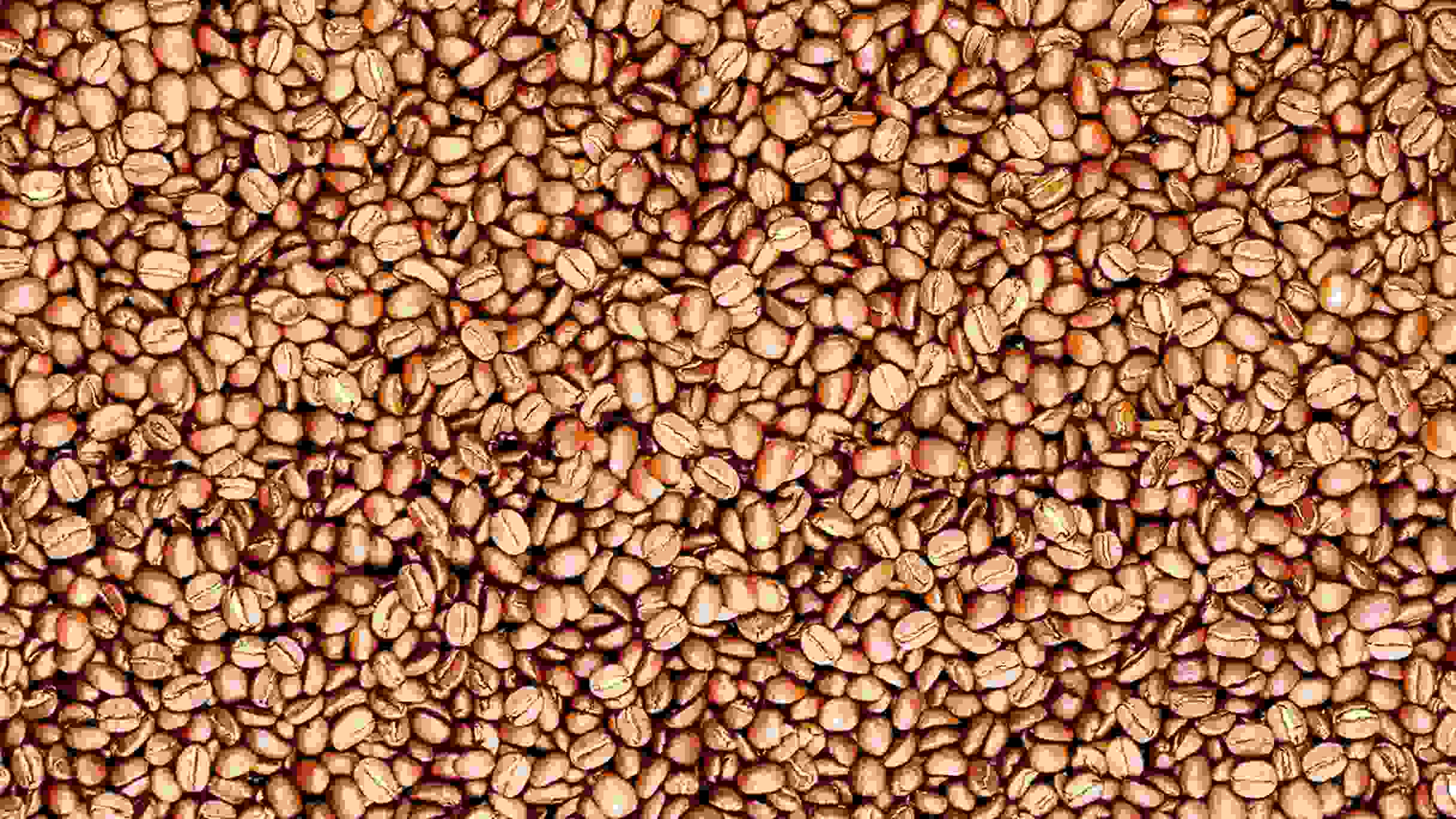 لایت رست یا رست روشن قهوه چیست؟ تاثیر این نحوه رست بر طعم قهوه